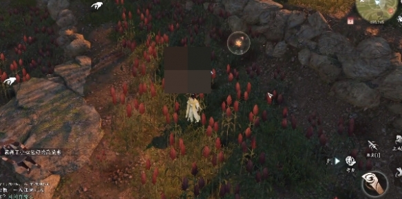 《逆水寒手游》奇遇攻略大全