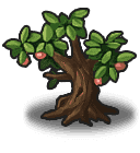 《不思议迷宫》侠客岛迷宫攻略