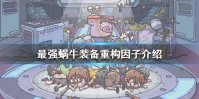 《最强蜗牛》装备重构因子是什么 装备重构因子介绍