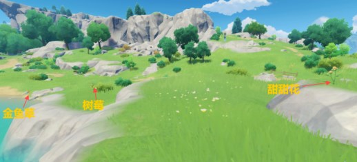 原神珊瑚真珠位置在哪里 原神珊瑚珍珠的位置分享