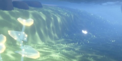 光遇6月6日珍珠代币在哪里 光遇6月6日自然日代币收集攻略