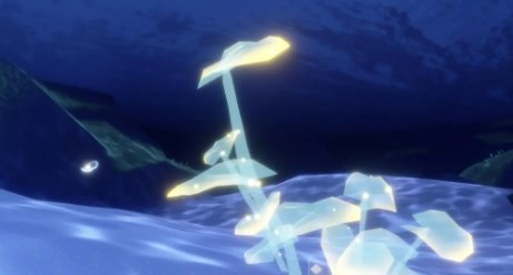 光遇6月6日珍珠代币在哪里 光遇6月6日自然日代币收集攻略