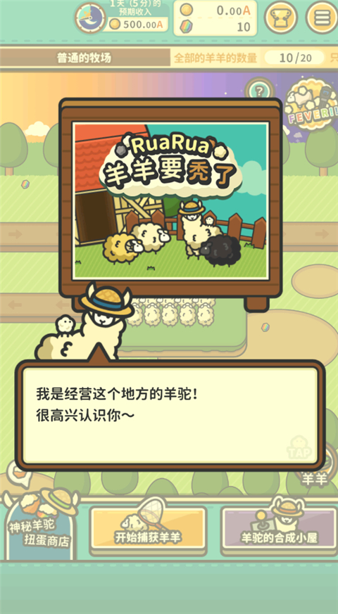 羊羊要秃了中文版