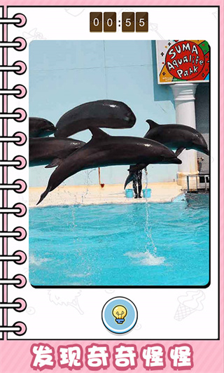 看起来很怪游戏