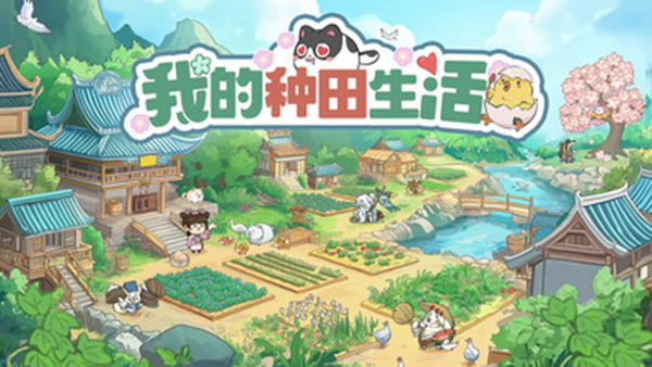 叫我大掌柜小米版