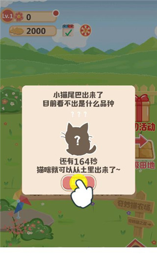 奇妙猫之家最新版