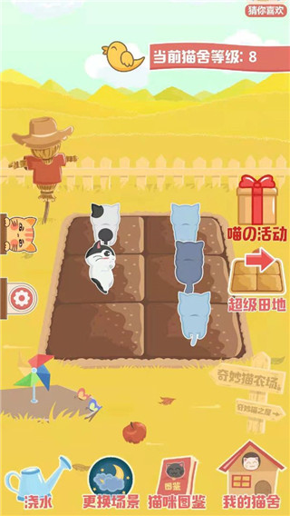 奇妙猫之家最新版