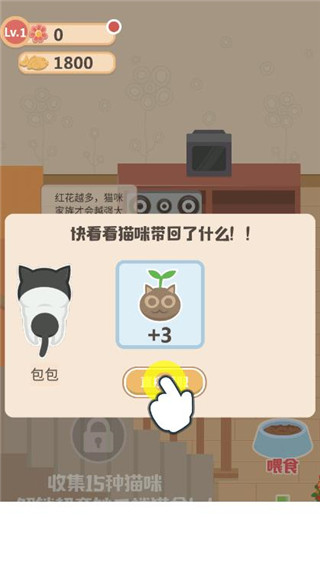 奇妙猫之家最新版