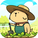 叫我大掌柜小米版