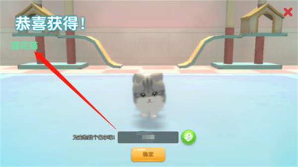 养了个猫免广告版