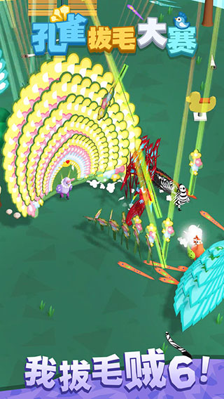 孔雀拔毛大赛游戏