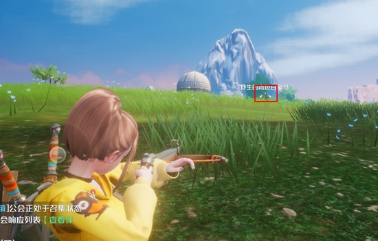 诺亚之心测试服