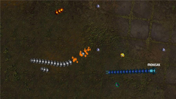 贪吃瑞拉安卓手机版