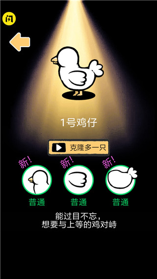 小鸡真奇怪