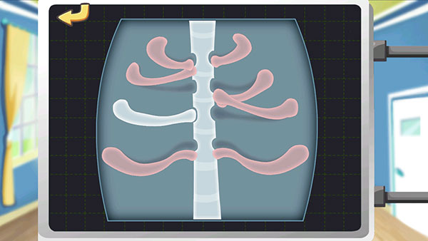 熊猫博士动物医院