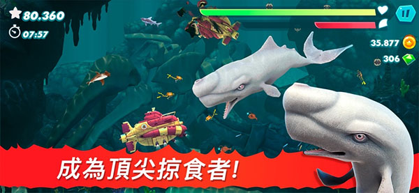 饥饿鲨进化2024新版