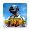 PUBGMOBILE正版