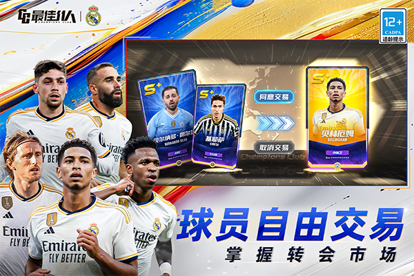 最佳11人国际服