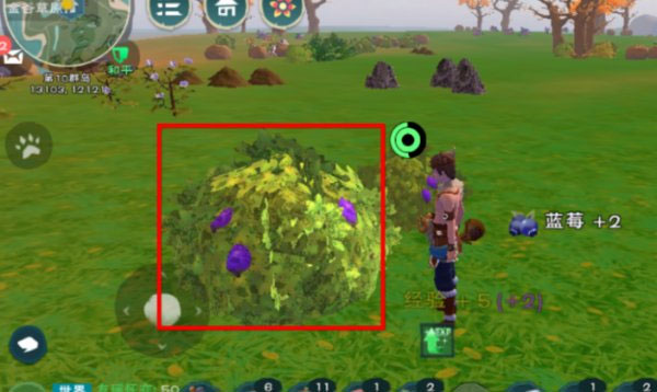 创造与魔法折扣版