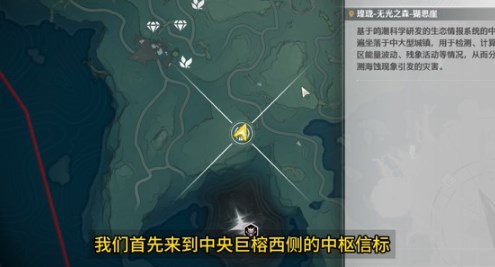 鸣潮云芝在哪里采集 鸣潮云芝采集路线攻略