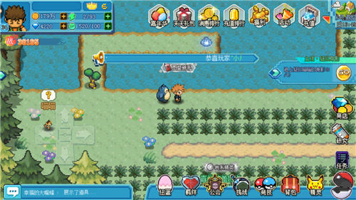 口袋新世代台湾版