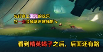 鸣潮归墟港市地下洞穴密码是什么 鸣潮归墟港市地下洞穴密码大全一览