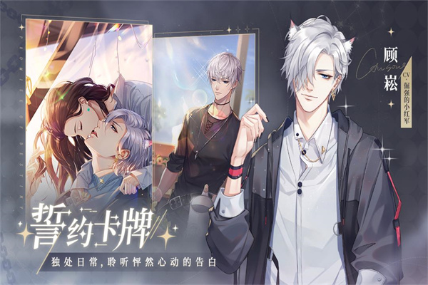 猫之宿约者公测版
