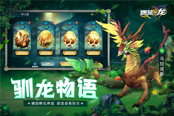 遇见龙返利版