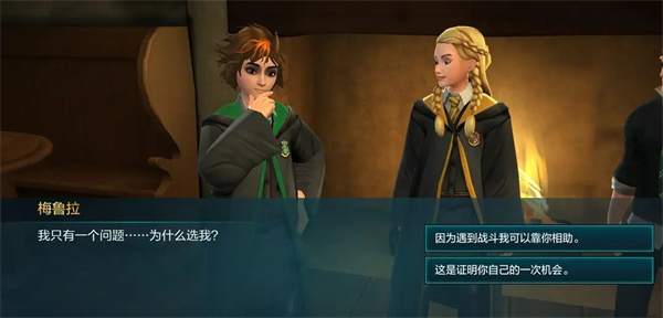 哈利波特霍格沃茨之谜正版