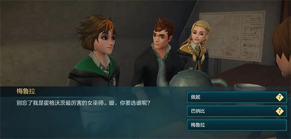 哈利波特霍格沃茨之谜正版