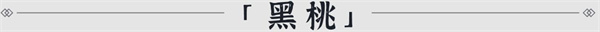 小浣熊百将传