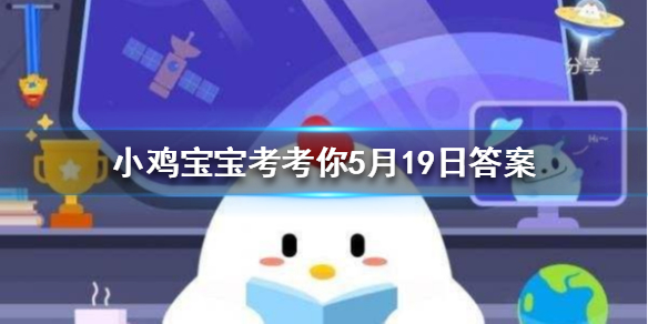 小鸡宝宝考考你小时候用来染指甲的指甲花其实是