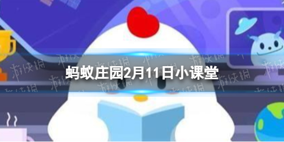 人们平时吃的洋葱是植物的哪部分 蚂蚁庄园2月11日答案最新