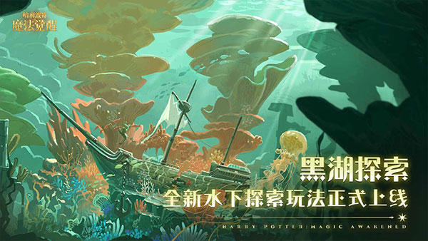哈利波特魔法觉醒b服