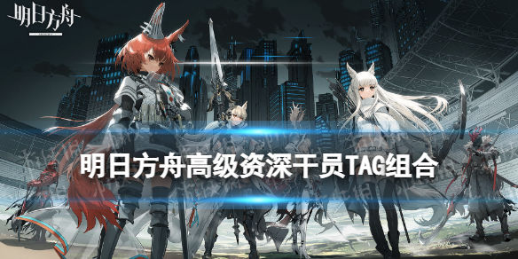 《明日方舟》高级资深干员TAG组合 公开招募TAG组合计算器