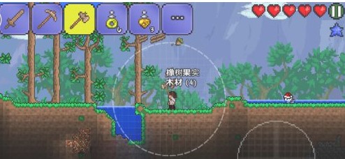 泰拉瑞亚2024最新版本