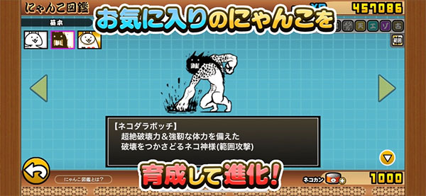 猫咪大战争日服2024最新版