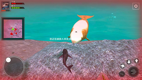 饥饿鲨鱼求生游戏