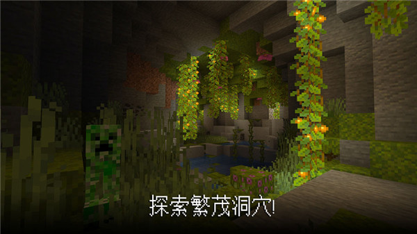 我的世界国际版(Minecraft)
