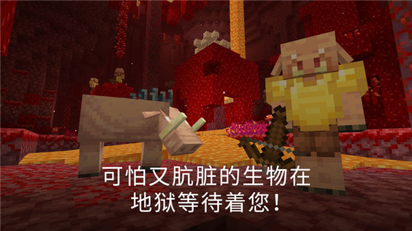 我的世界国际版(Minecraft)