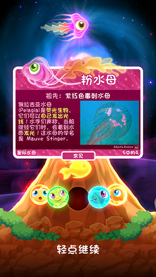 超级星鱼最新版