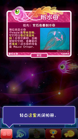 超级星鱼最新版