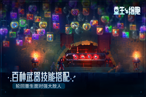 重生细胞免付费中文版