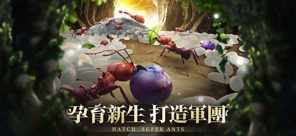 小小蚁国国际服(The Ants)