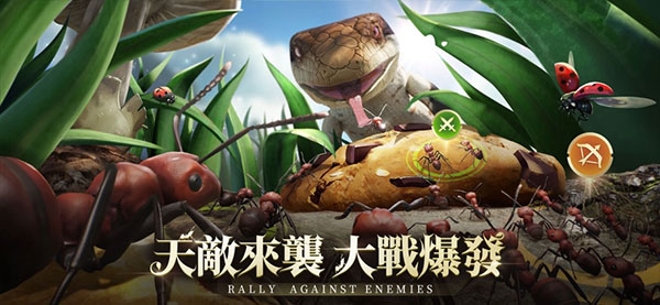 小小蚁国国际服(The Ants)