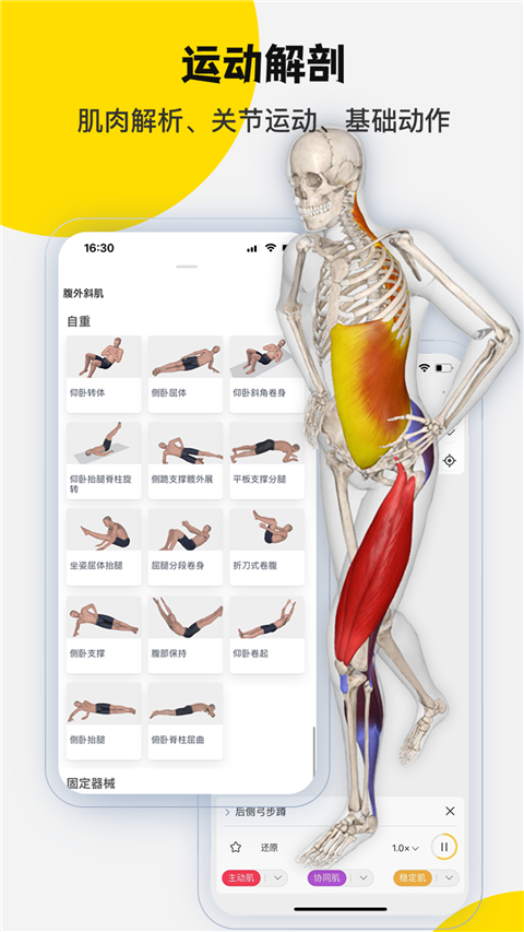 3dbody解剖app最新版