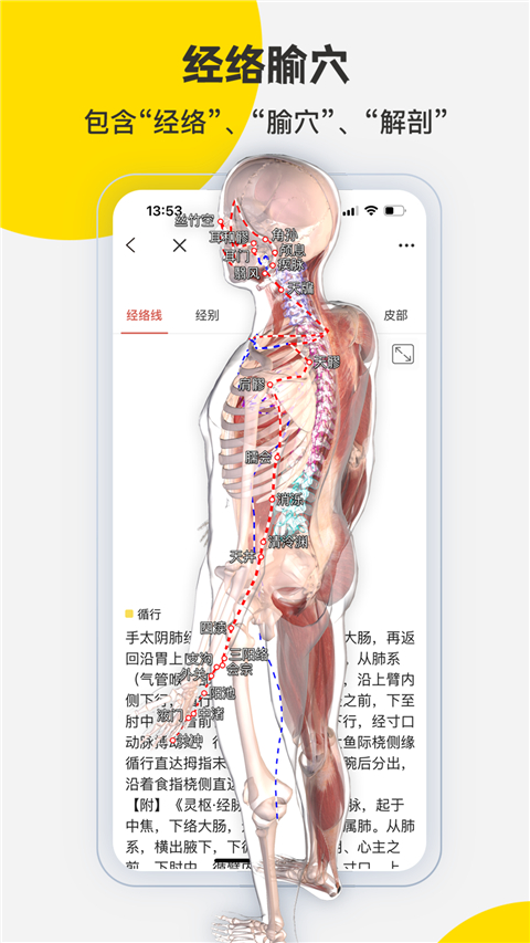 3dbody解剖app最新版