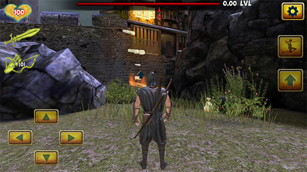 忍者武士刺客英雄